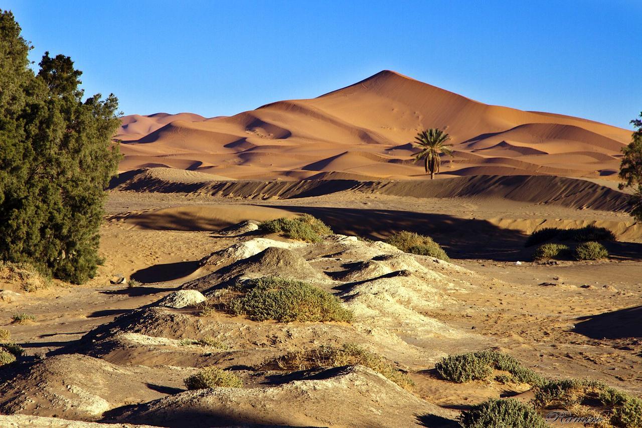 Riadsuerteloca Merzouga Hassilabied Екстериор снимка The Sahara Desert